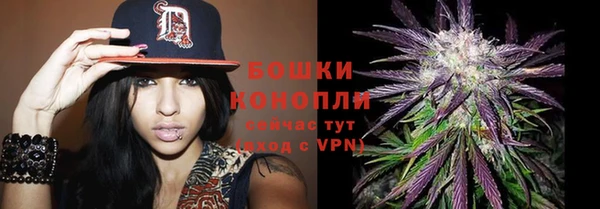 ALPHA-PVP Алексеевка
