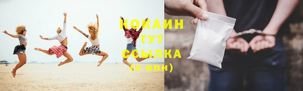 тгк Алзамай