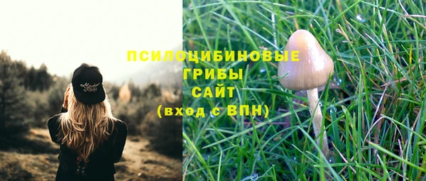 тгк Алзамай
