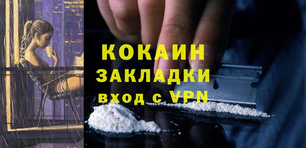 тгк Алзамай