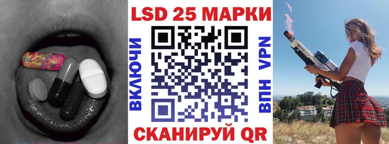 даркнет наркотические препараты  Приозерск  ЛСД экстази ecstasy  кракен вход 